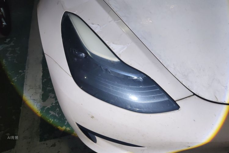 Tesla Model 3 2022 car image #8