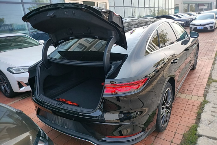 BYD Han 2024 car image #19