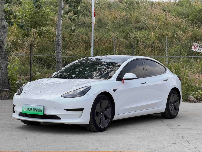 Tesla Model 3 2022 Tesla Model 3 2022 car image