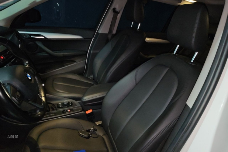 BMW X1 2017 car image #17