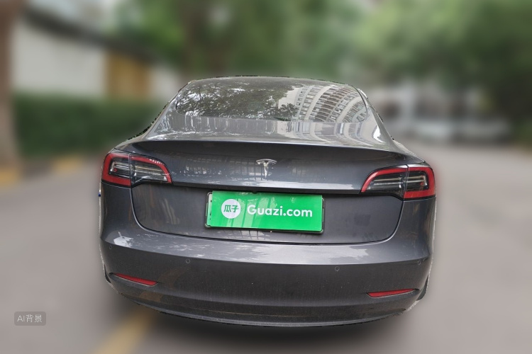 Tesla Model 3 2022 car image #6