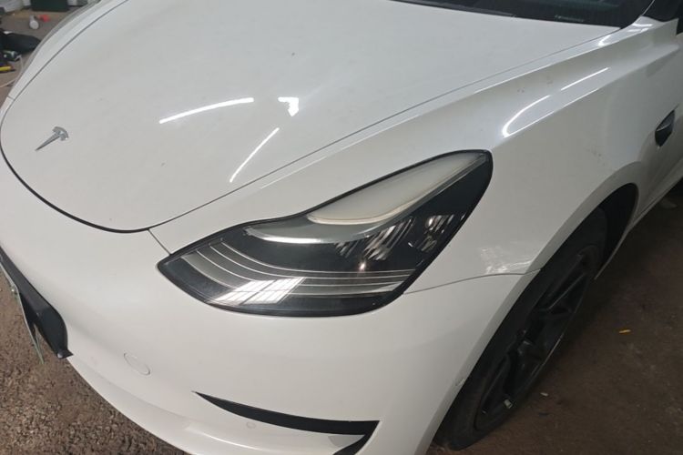 Tesla Model 3 2020 #23 Tesla Model 3 2020 car image #23