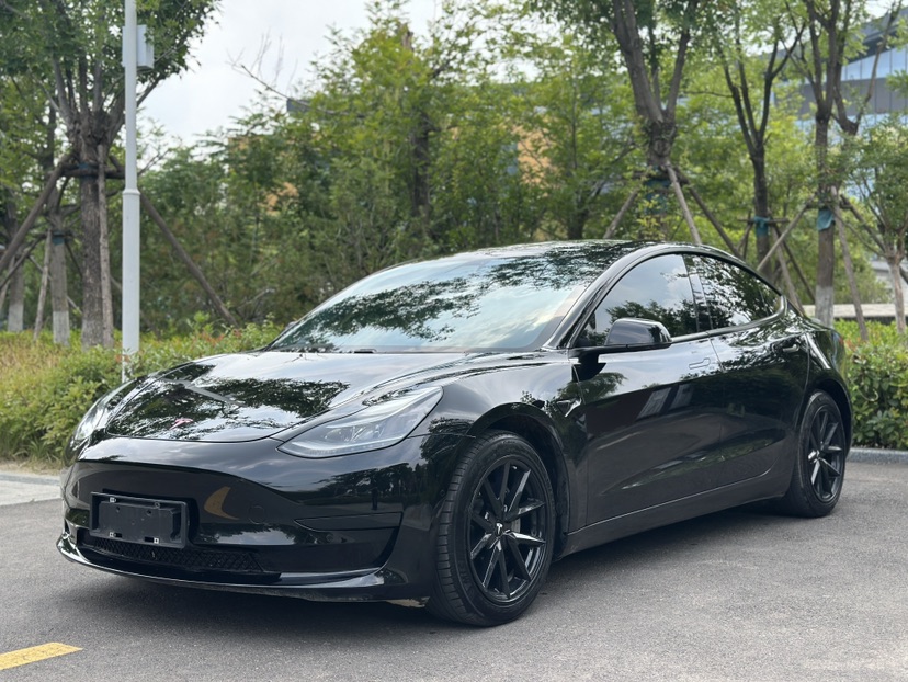 Tesla Model 3 2021 car image 