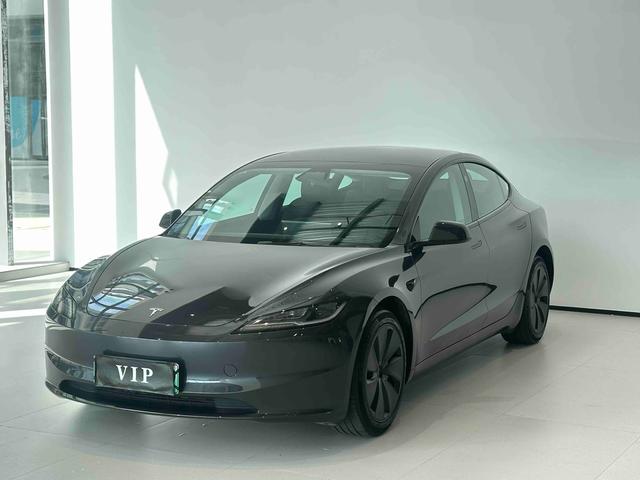 Tesla Model 3 2025 #30 Tesla Model 3 2025 immagine di auto #30