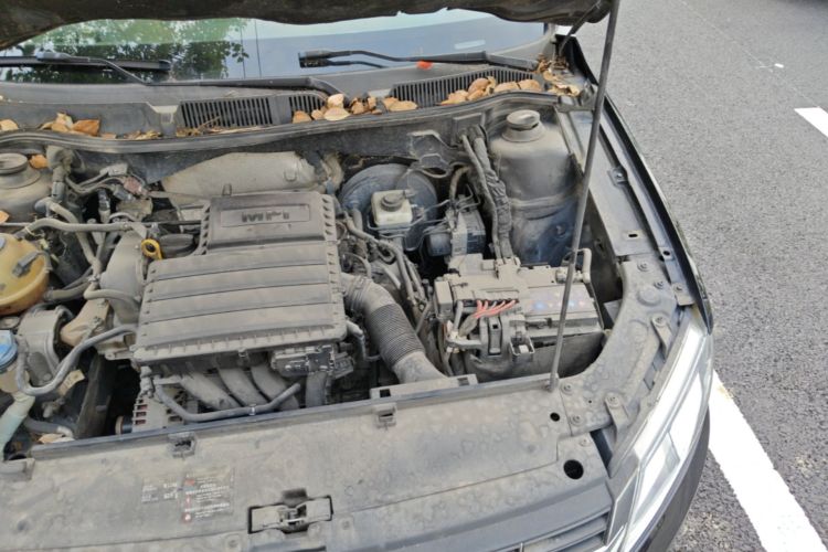 Volkswagen Lavida 2016 car image #29