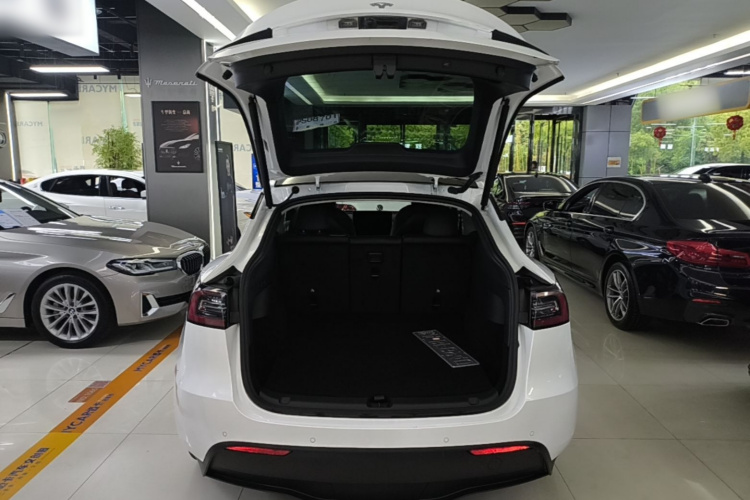 Tesla Model Y 2022 car image #19
