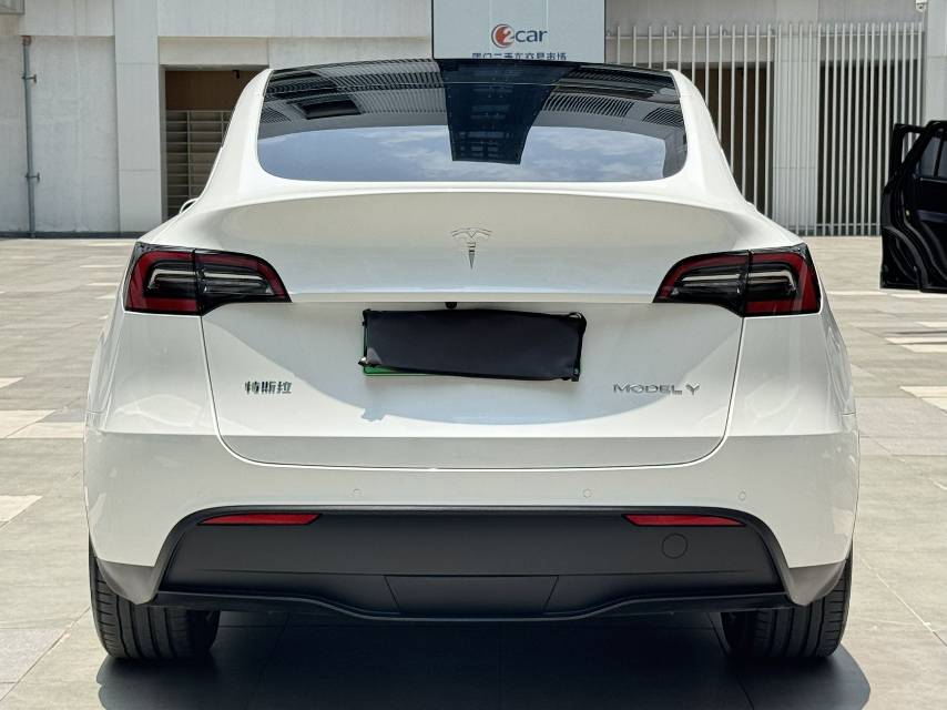 Tesla Model Y 2022 car image #8