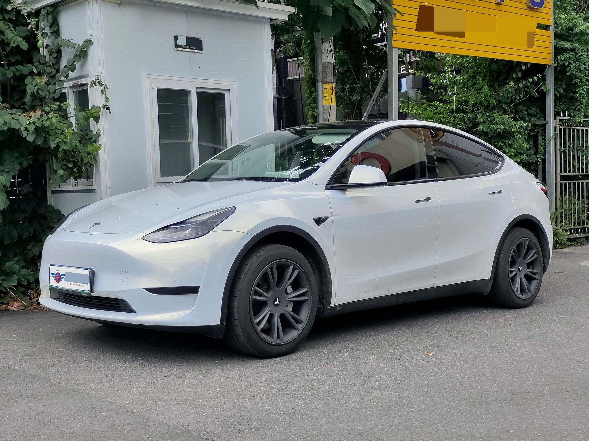 Tesla Model Y 2024 Tesla Model Y 2024 car image
