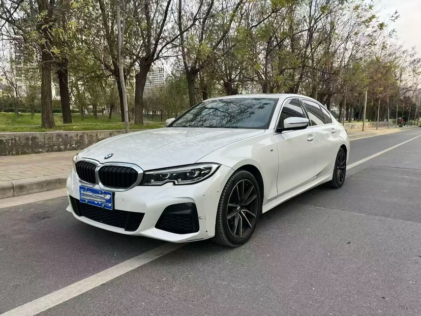 BMW 3 Series 2020 car image 
