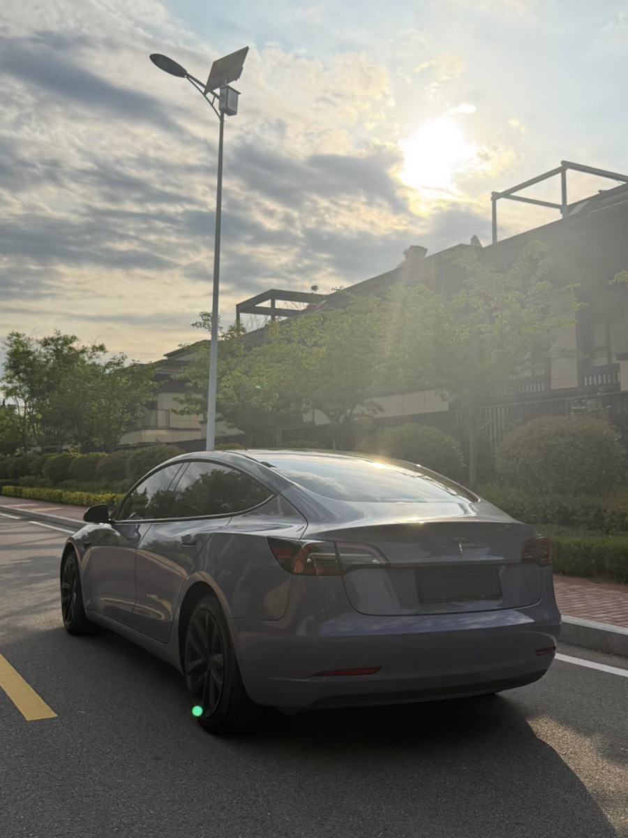Tesla Model 3 2021 immagine di auto #7