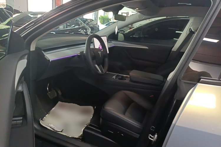 Tesla Model Y 2024 car image #15