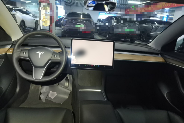 Tesla Model 3 2021 car image #10