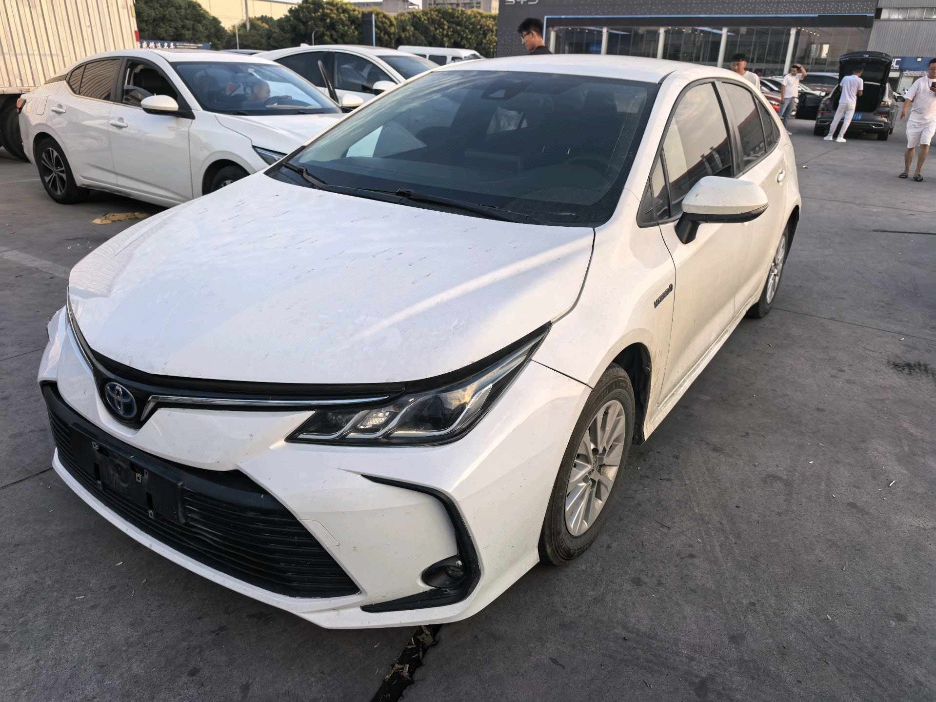 Toyota Corolla 2023 Toyota Corolla 2023 car image