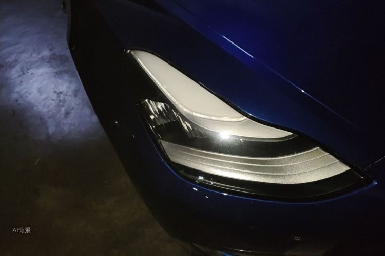 Tesla Model 3 2020 car image #8