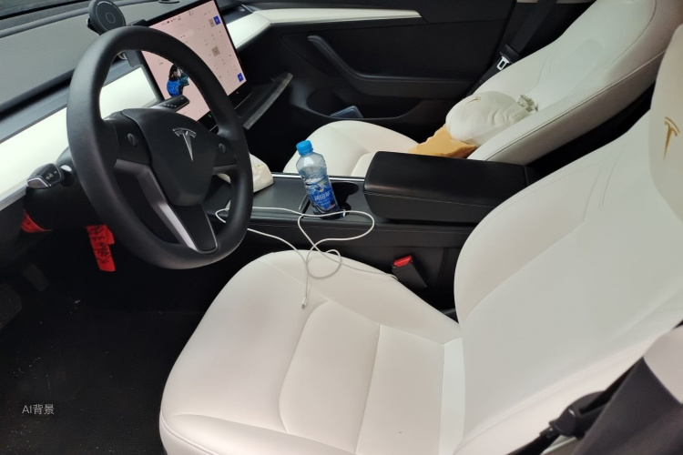 Tesla Model 3 2021 immagine di auto #17