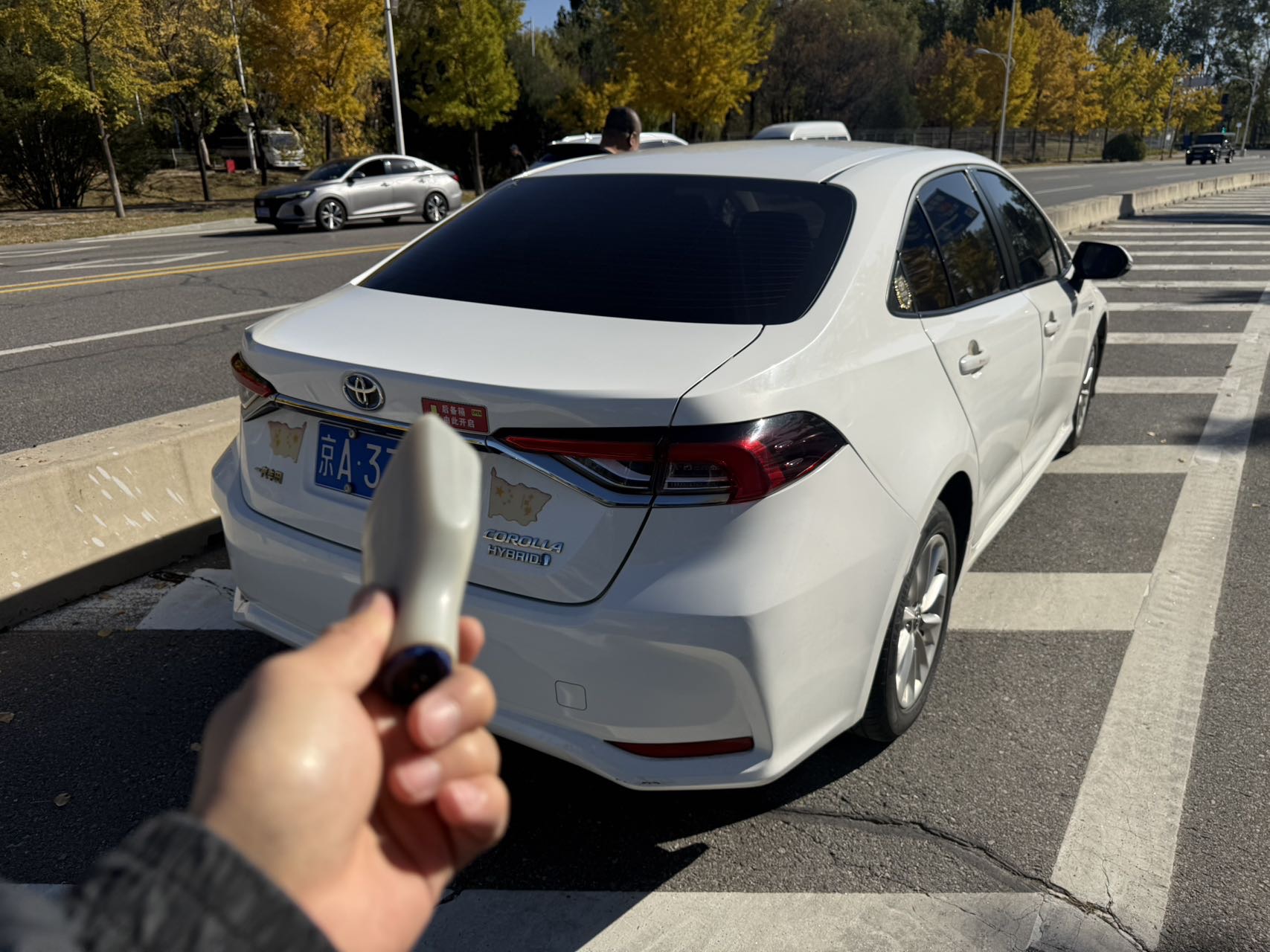Toyota Corolla 2023 car image #8