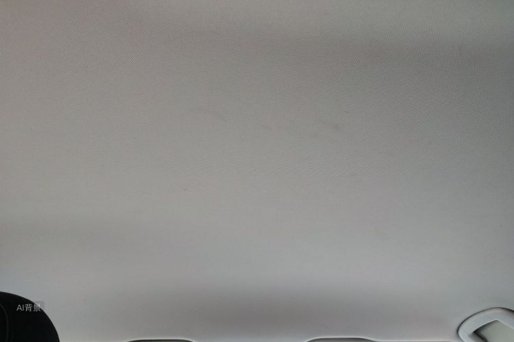 Volkswagen Bora 2019 car image #20