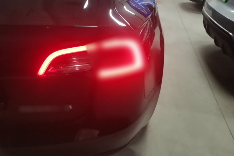 Tesla Model 3 2020 car image #8