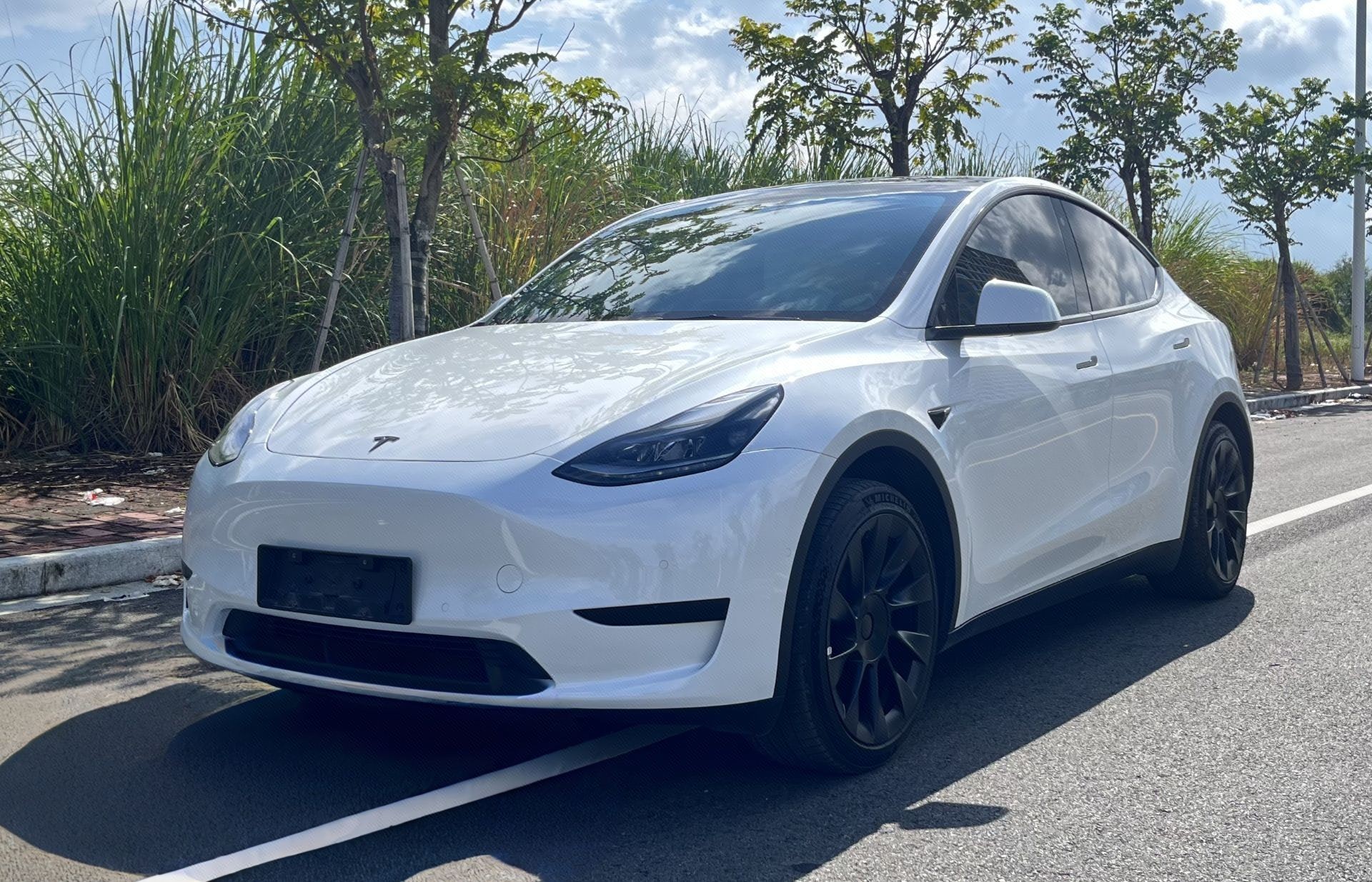 Tesla Model Y 2023 Tesla Model Y 2023 car image