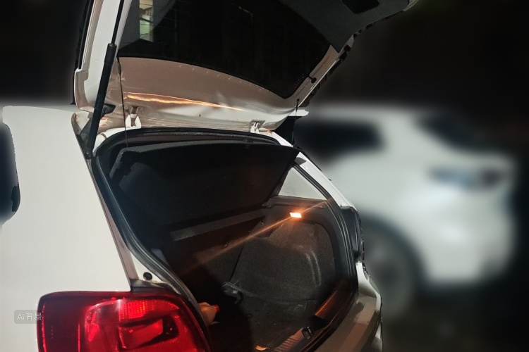 Volkswagen Polo 2016 car image #21