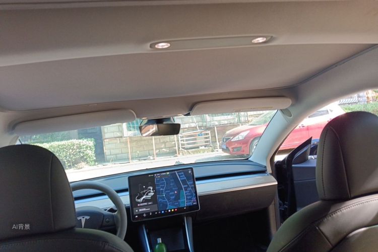 Tesla Model 3 2020 car image #20