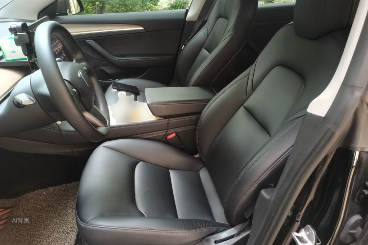 Tesla Model 3 2022 car image #17