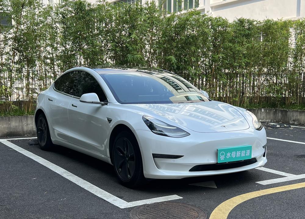 Tesla Model 3 (Imported) 2020 #3 Tesla Model 3 (Imported) 2020 car image #3