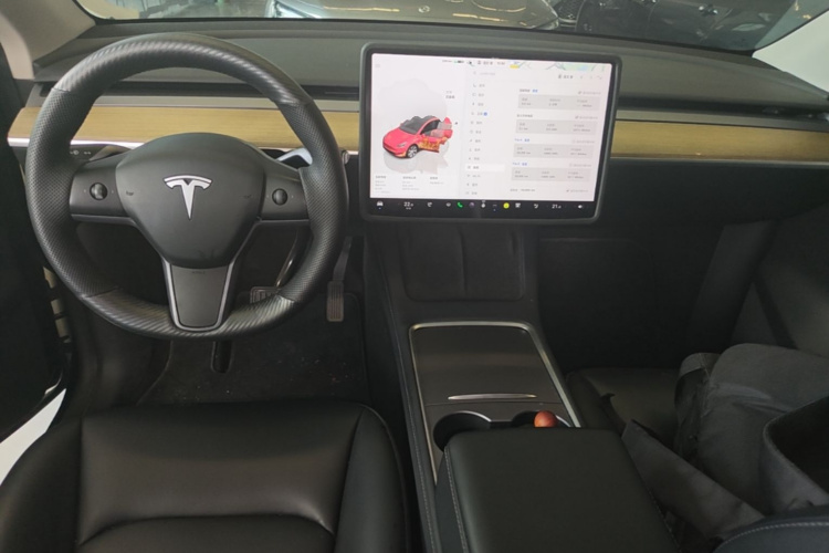 Tesla Model Y 2023 #10 Tesla Model Y 2023 car image #10