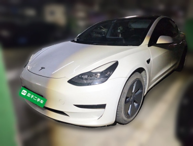 Tesla Model 3 2021 car image 