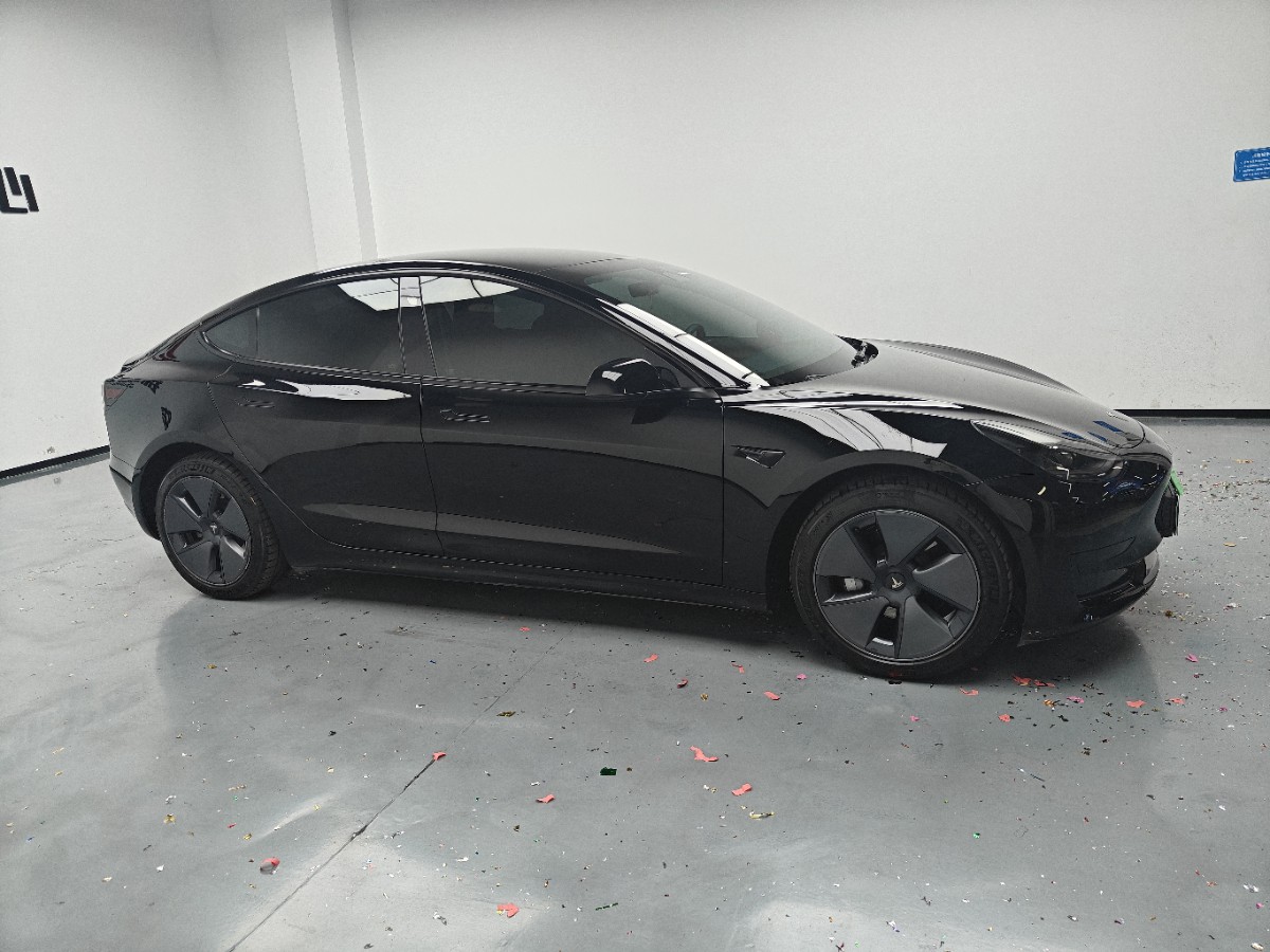 Tesla Model 3 2021 car image #4
