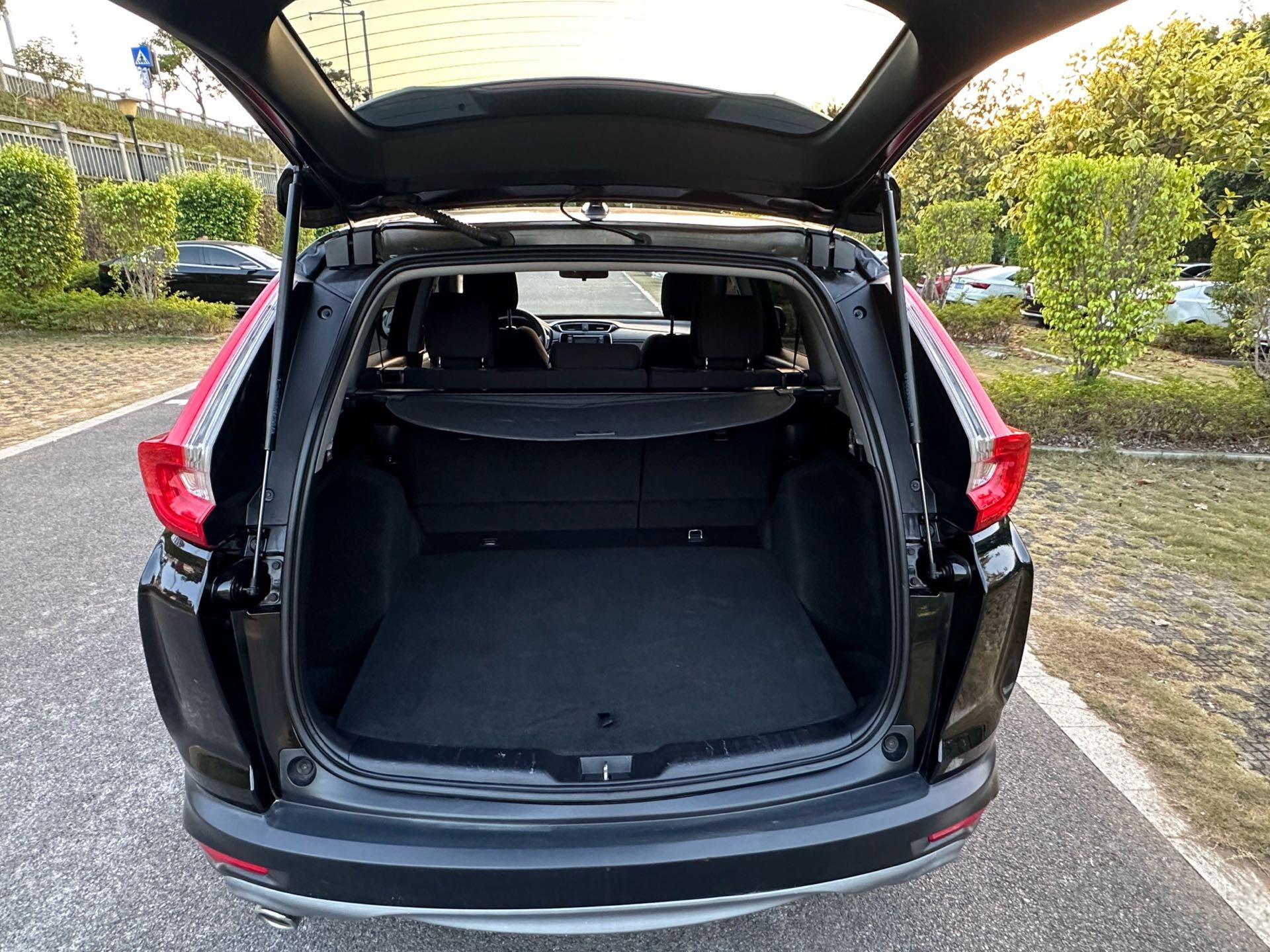2019 #8 2019 car image #8