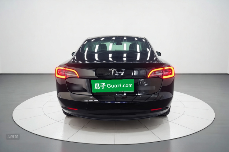 Tesla Model 3 2020 car image #6