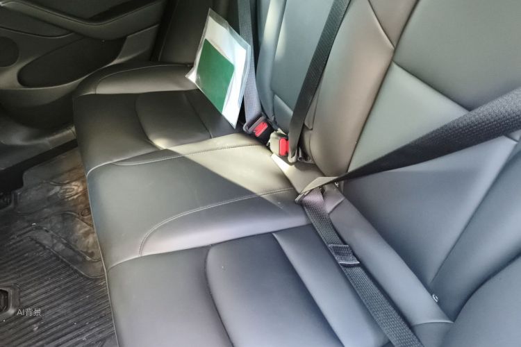 Tesla Model 3 2021 car image #19