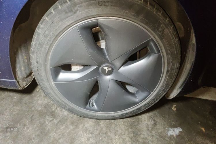 Tesla Model 3 2020 car image #9