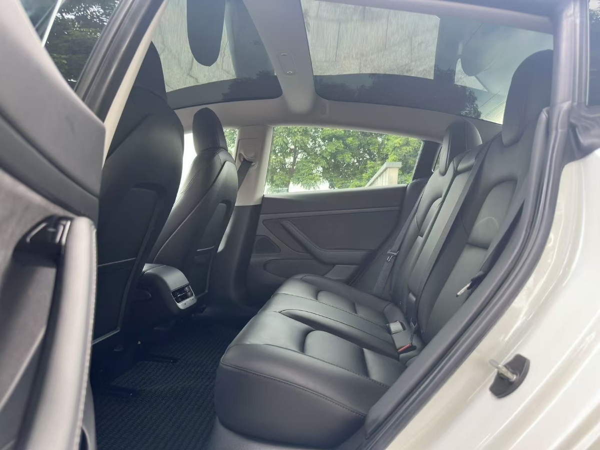 Tesla Model 3 2020 car image #6