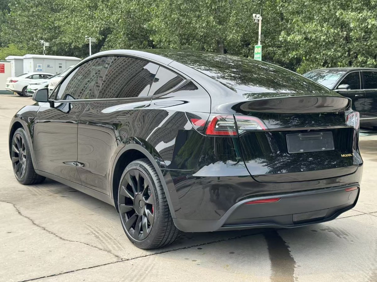 Tesla Model Y 2021 car image #5