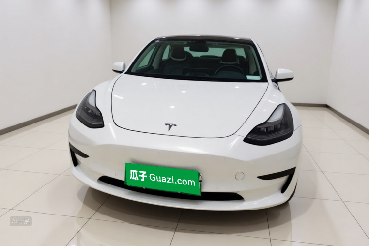 Tesla Model 3 2020 #3 Tesla Model 3 2020 car image #3
