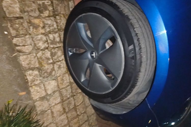 Tesla Model 3 2020 car image #9