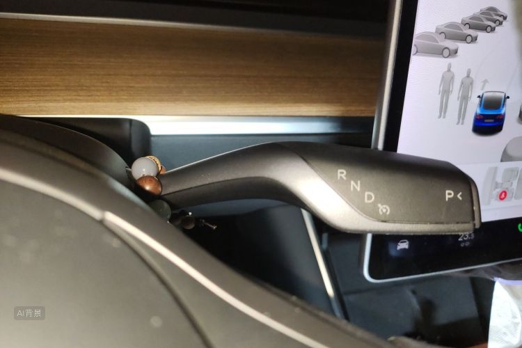 Tesla Model 3 2020 car image #16