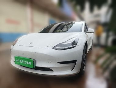 Tesla Model 3 2020 Tesla Model 3 2020 car image