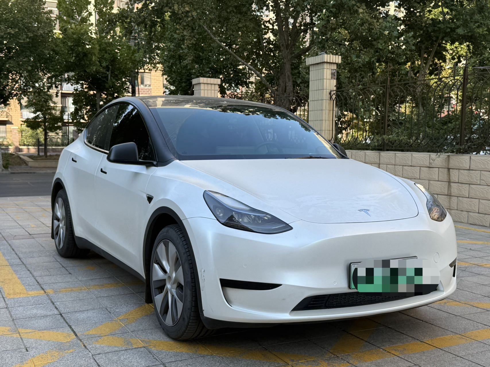 Tesla Model Y 2023 #3 Tesla Model Y 2023 car image #3