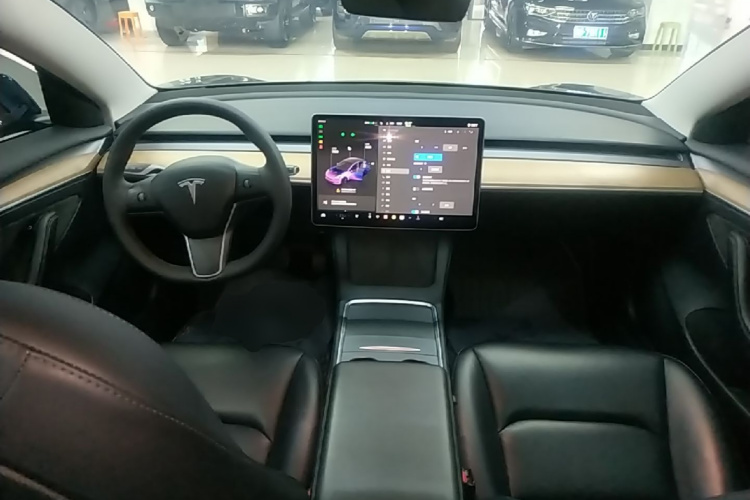 Tesla Model 3 2022 car image #10