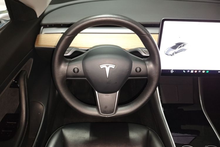 Tesla Model 3 2020 car image #11