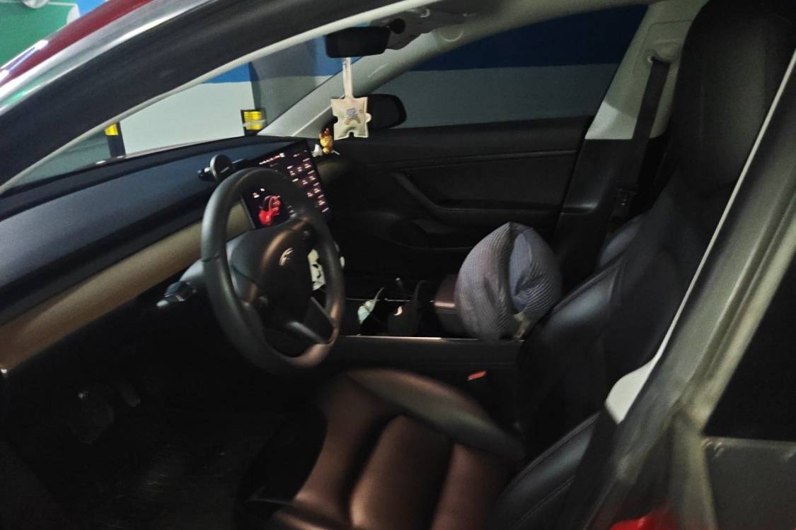Tesla Model 3 2020 immagine di auto #18