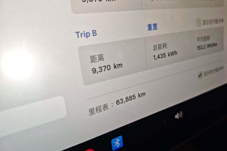 Tesla Model 3 2021 car image #12