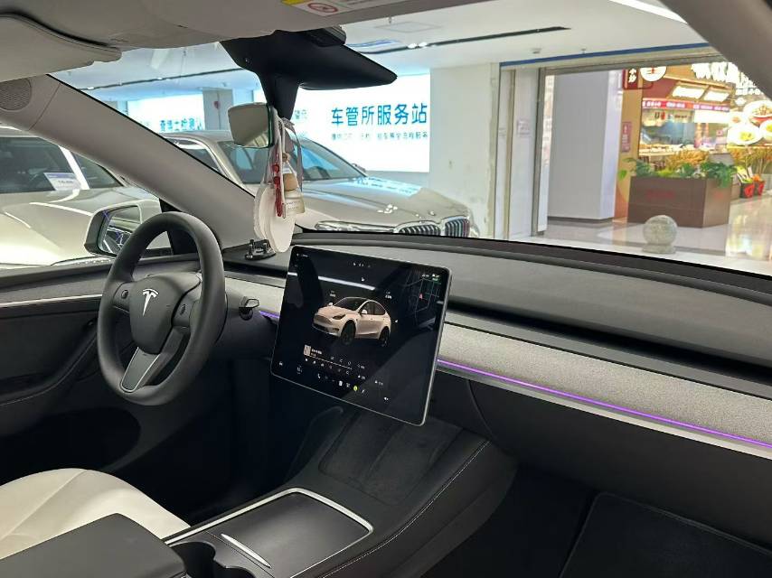Tesla Model Y 2024 car image #9