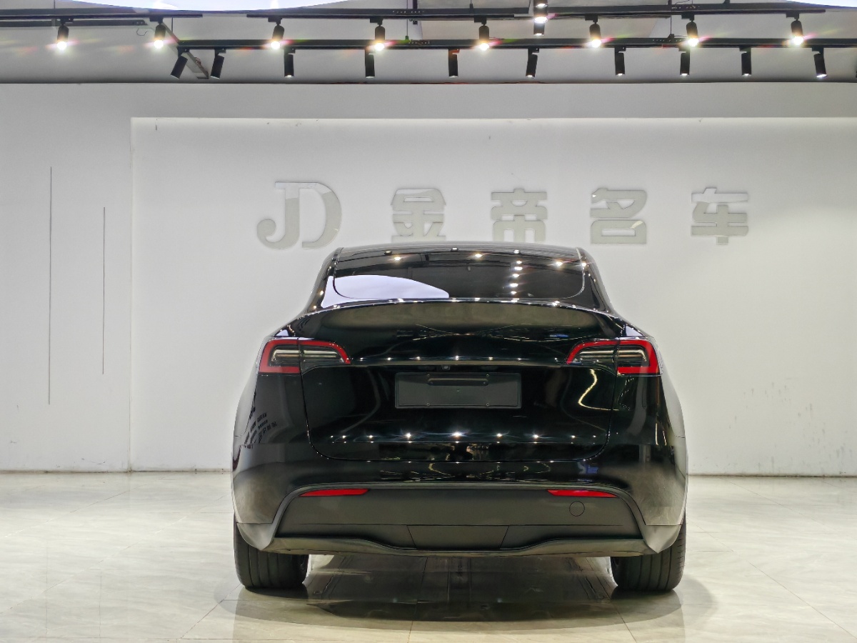 Tesla Model Y 2024 car image #8
