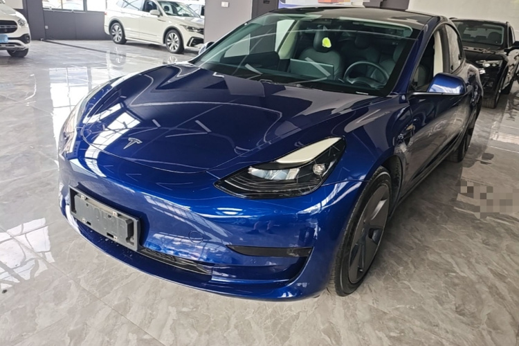 Tesla Model 3 2021 #2 Tesla Model 3 2021 car image #2