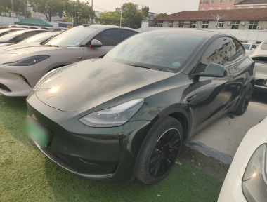 Tesla Model Y 2022 car image 