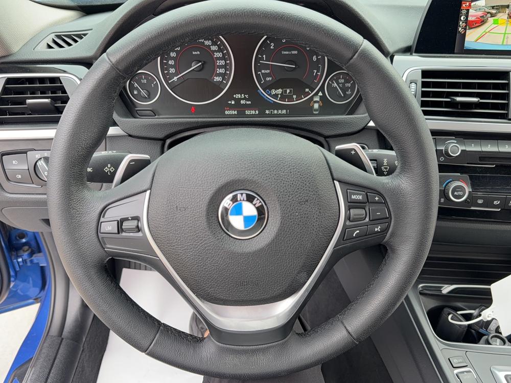 BMW 3 Series 2016 car image #18
